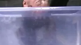 Deux gynécologues co ...