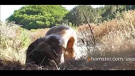La video porno femme ...