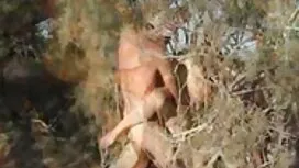 La jeune fille brune ...