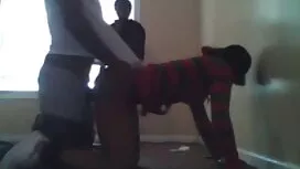 Chienne équitation u ...